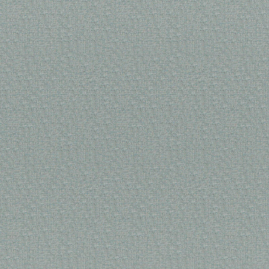 RO2848 Maxwell UPHOLSTERY SOLID/TEXTURES # 848 FOAM CG-AMAZONIA