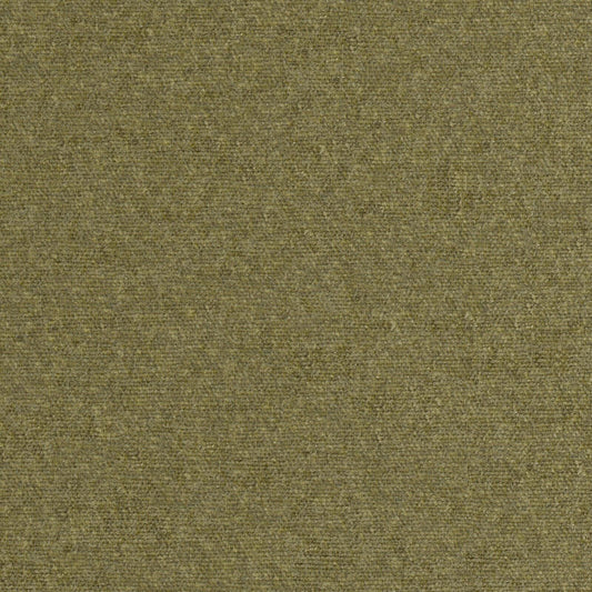 RP0813 Maxwell CHENILLES SOLIDS/TEXTURES # 813 MOSS CURLEDUPVIII