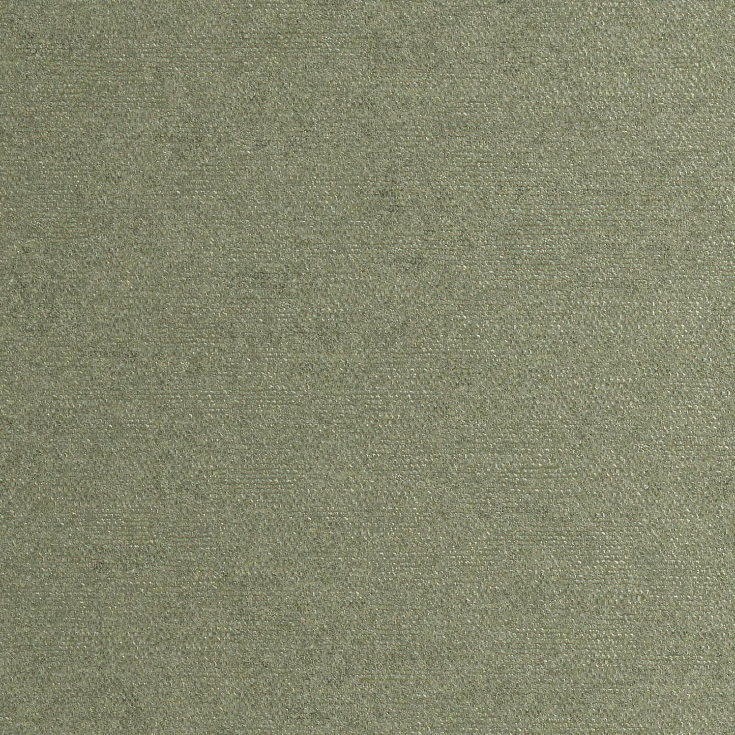 RP0814 Maxwell CHENILLES SOLIDS/TEXTURES # 814 SAGE CURLEDUPVIII