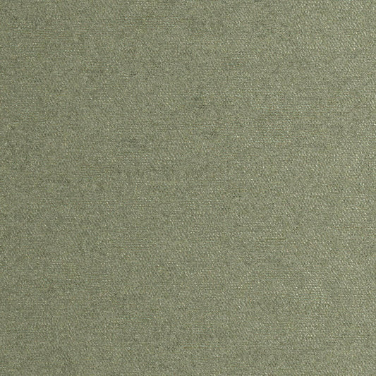 RP0814 Maxwell CHENILLES SOLIDS/TEXTURES # 814 SAGE CURLEDUPVIII