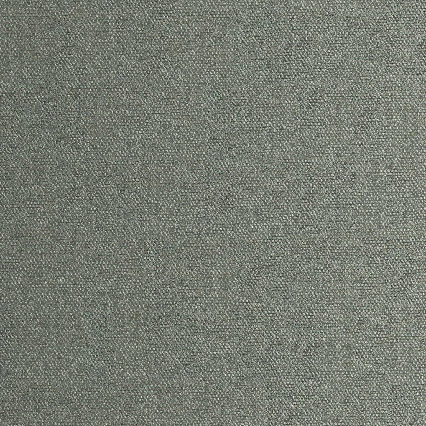 RP0817 Maxwell CHENILLES SOLIDS/TEXTURES # 817 PINE CURLEDUPVIII