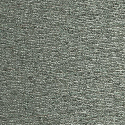 RP0817 Maxwell CHENILLES SOLIDS/TEXTURES # 817 PINE CURLEDUPVIII