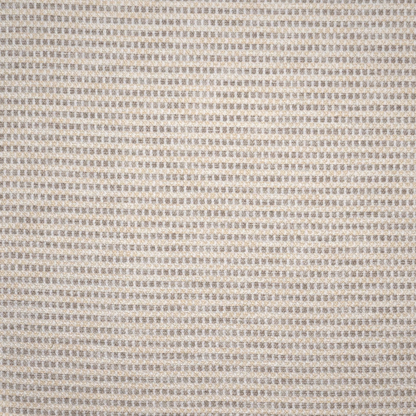 RQ6744 Maxwell UPHOLSTERY PATTERNS # 744 SHELL PW-GOLD RUSH