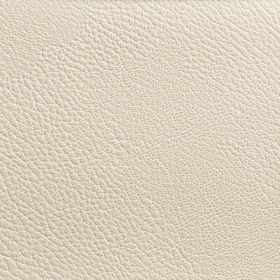 RUSTLER-111 RUSTLER GYPSUM KRAVET CONTRACT UPHOLSTERY