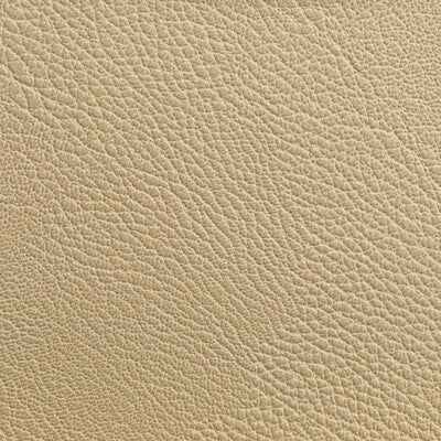 RUSTLER-116 RUSTLER WHEAT KRAVET CONTRACT UPHOLSTERY