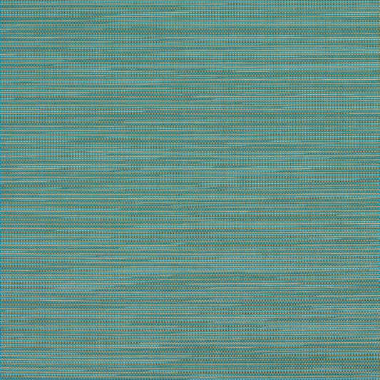 S121 Plain & Solid Aqua & Teal Charlotte Fabrics Sling Mesh