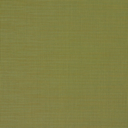 S134 Plain & Solid Green Charlotte Fabrics Sling Mesh