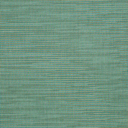 S303 Plain & Solid Capri Aqua & Teal,Green Charlotte Fabrics Vinyl