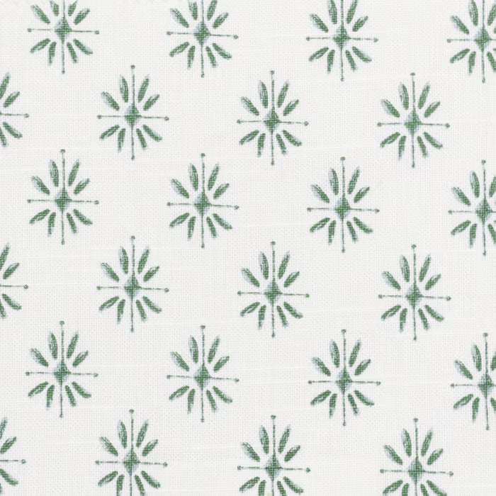 SALZ-1 STOUT SALZBERG 1 FERN FERN MULTIPURPOSE