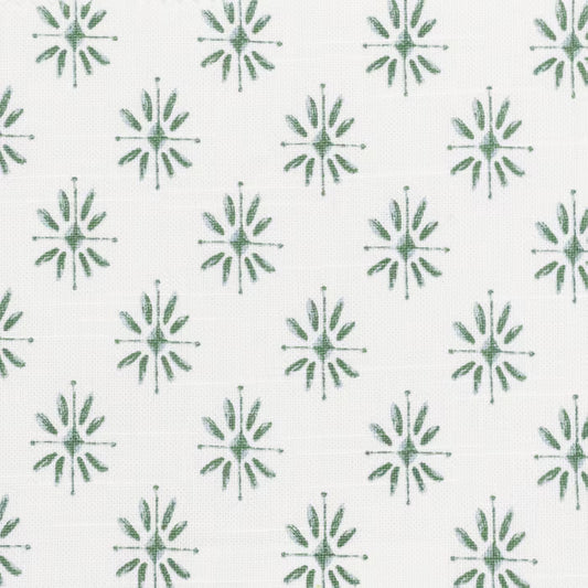 SALZ-1 STOUT SALZBERG 1 FERN FERN MULTIPURPOSE