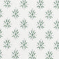 SALZ-1 STOUT SALZBERG 1 FERN FERN MULTIPURPOSE