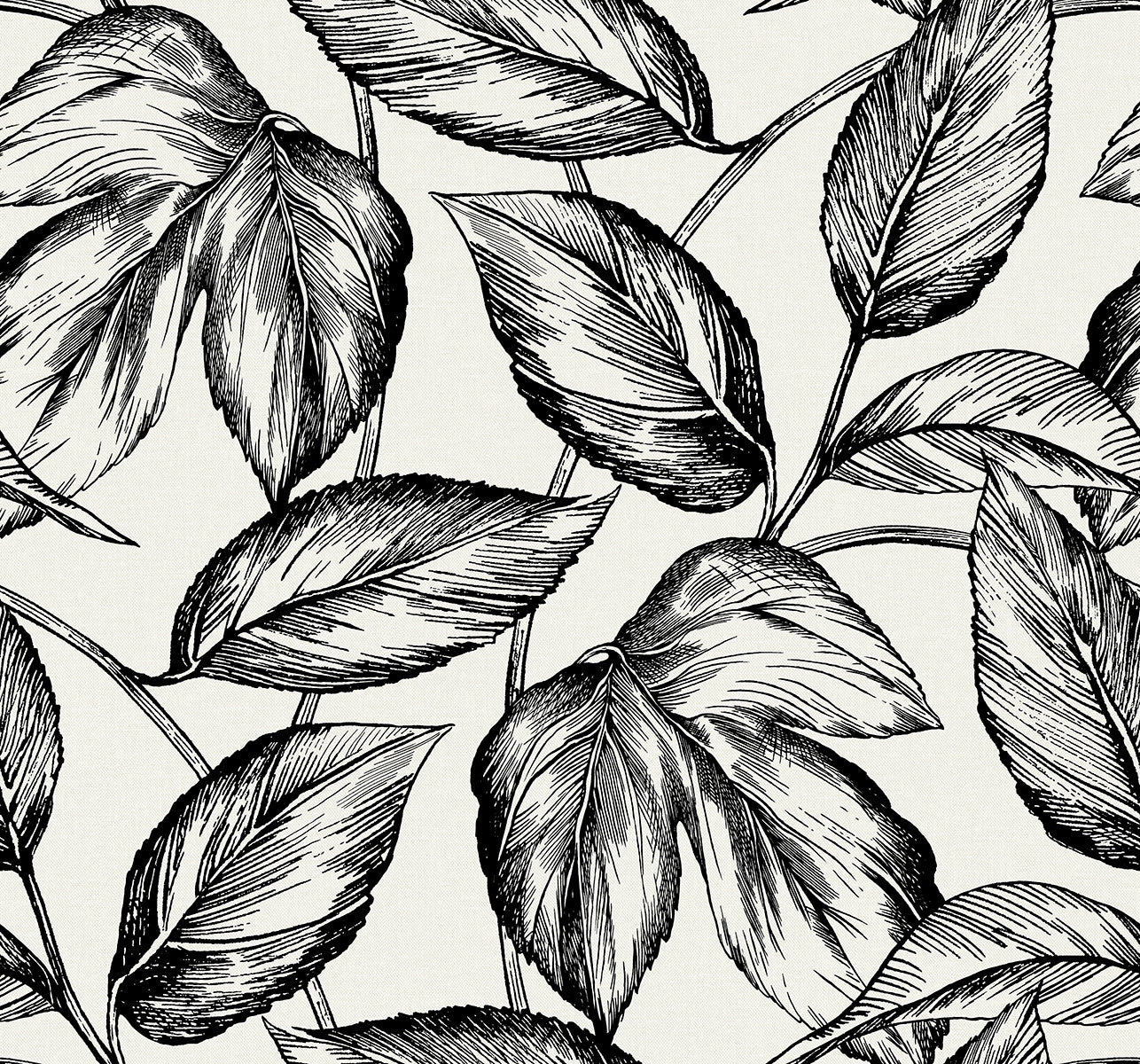 SC20000 Seabrook Designs Summer House Wallpaper Beckett Sketched Leaves Volcanic Black
