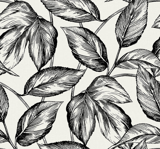 SC20000 Seabrook Designs Summer House Wallpaper Beckett Sketched Leaves Volcanic Black