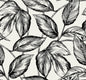 SC20000 Seabrook Designs Summer House Wallpaper Beckett Sketched Leaves Volcanic Black