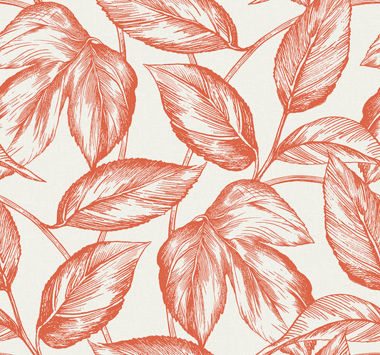 SC20001 Seabrook Designs Summer House Wallpaper Beckett Sketched Leaves Rich Coral