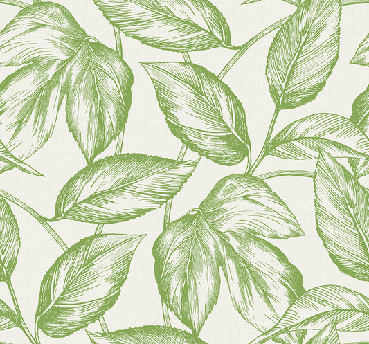 SC20004 Seabrook Designs Summer House Wallpaper Beckett Sketched Leaves Apple Green