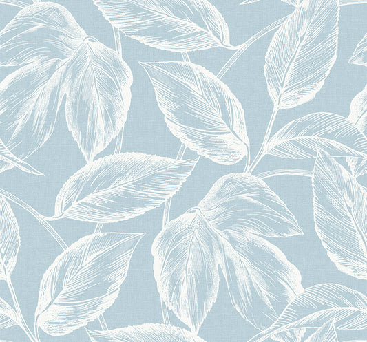 SC20022 Seabrook Designs Summer House Wallpaper Beckett Sketched Leaves Baby Blue