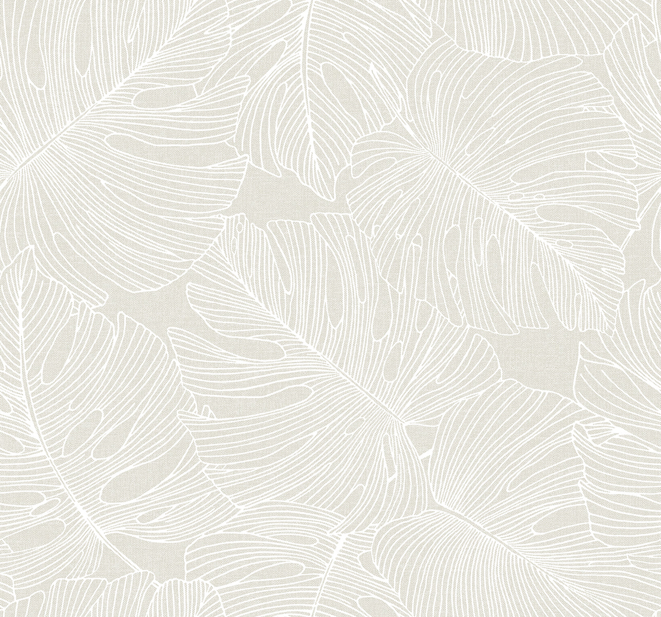 SC20205 Seabrook Designs Summer House Wallpaper Tarra Monstera Leaf White Sand