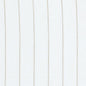 SCHW-1 STOUT SCHWENKSVILLE 1 FLAX FLAX DRAPERY