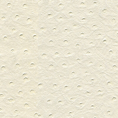 SENNA-101 KRAVET DESIGN SENNA-101 KRAVET DESIGN UPHOLSTERY