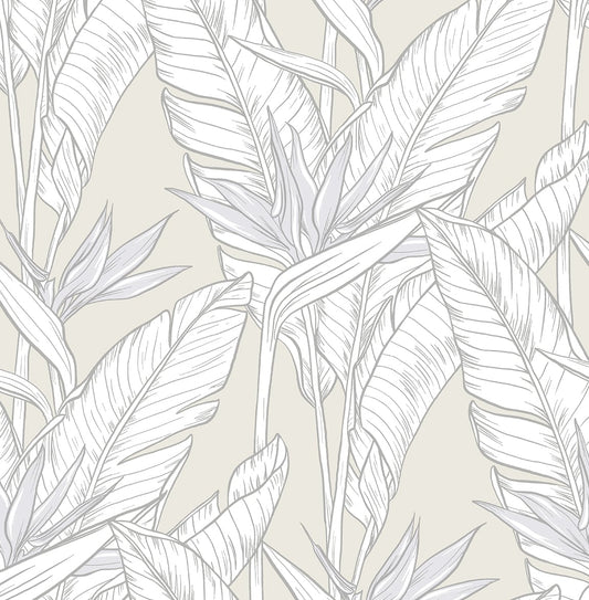 SG11905 Stacy Garcia Home Stacy Garcia Peel and Stick Wallpaper Birds of Paradise Pearl Grey & Metallic Silver