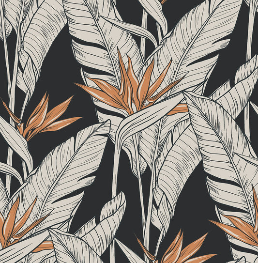 SG11910 Stacy Garcia Home Stacy Garcia Peel and Stick Wallpaper Birds of Paradise Onyx & Metallic Copper
