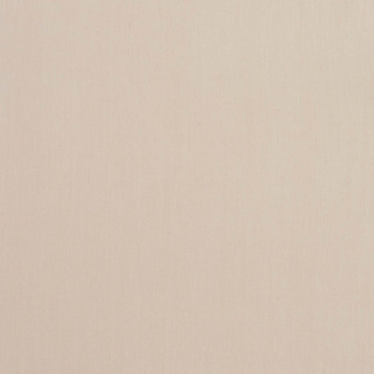 SH08 Plain & Solid Sand Beige & Taupe Charlotte Fabrics