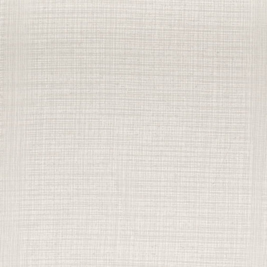 SH107 Plain & Solid Cement Grey & Silver Charlotte Fabrics
