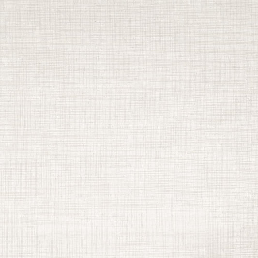 SH108 Plain & Solid Oyster Beige & Taupe Charlotte Fabrics
