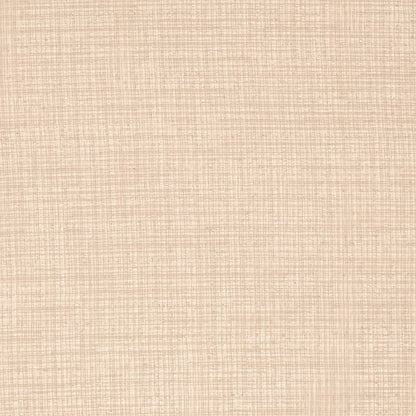 SH110 Plain & Solid Putty Beige & Taupe Charlotte Fabrics