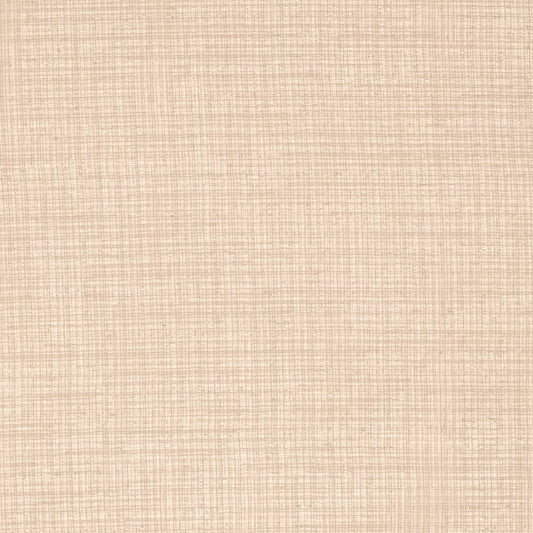 SH110 Plain & Solid Putty Beige & Taupe Charlotte Fabrics