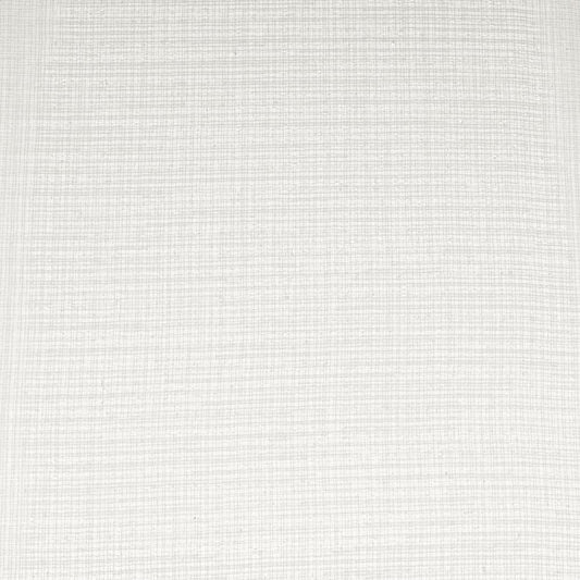 SH111 Plain & Solid Silver Grey & Silver Charlotte Fabrics