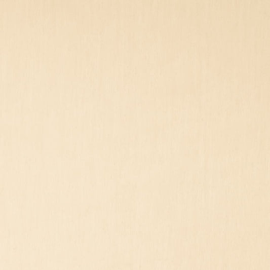 SH124 Plain & Solid Biscuit Beige & Taupe Charlotte Fabrics