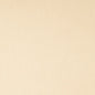 SH124 Plain & Solid Biscuit Beige & Taupe Charlotte Fabrics