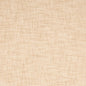 SH136 Plain & Solid Beige Beige & Taupe Charlotte Fabrics