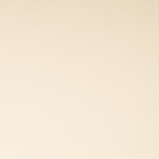 SH152 Plain & Solid White & Ivory Charlotte Fabrics Sheer