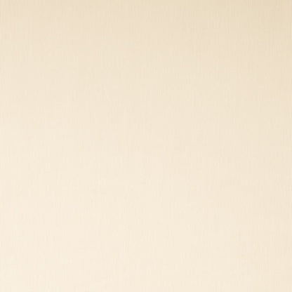 SH152 Plain & Solid Cream White & Ivory Charlotte Fabrics