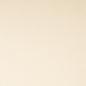 SH152 Plain & Solid Cream White & Ivory Charlotte Fabrics