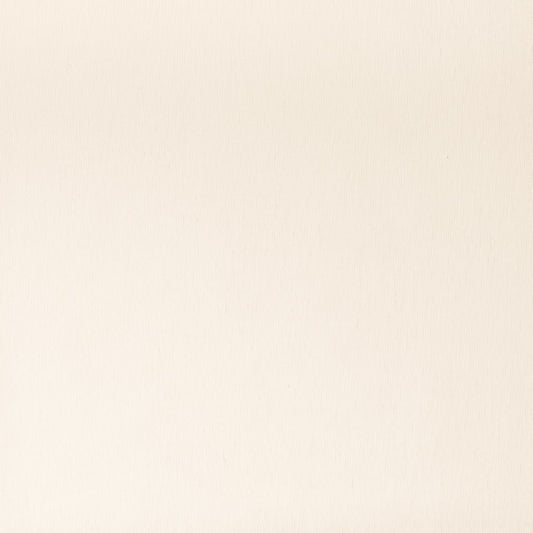 SH153 Plain & Solid Buff White & Ivory Charlotte Fabrics