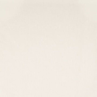 SH157 Plain & Solid Daisy White & Ivory Charlotte Fabrics