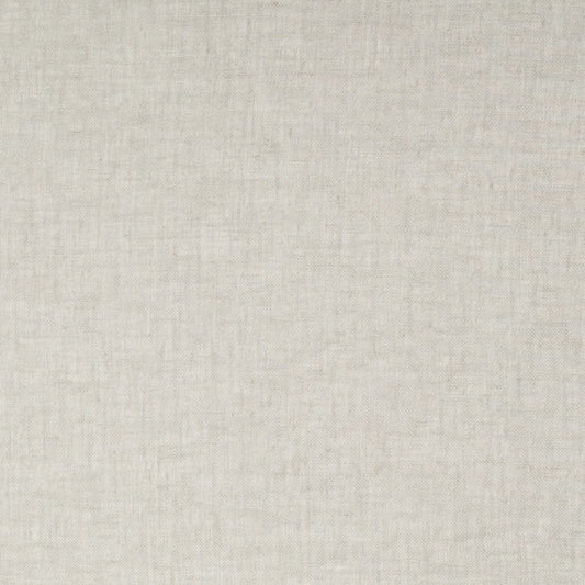 SH168 Plain & Solid Ash Grey & Silver Charlotte Fabrics