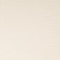 SH177 Plain & Solid Tusk White & Ivory Charlotte Fabrics
