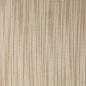 SH182 Plain & Solid Cafe Beige & Taupe Charlotte Fabrics