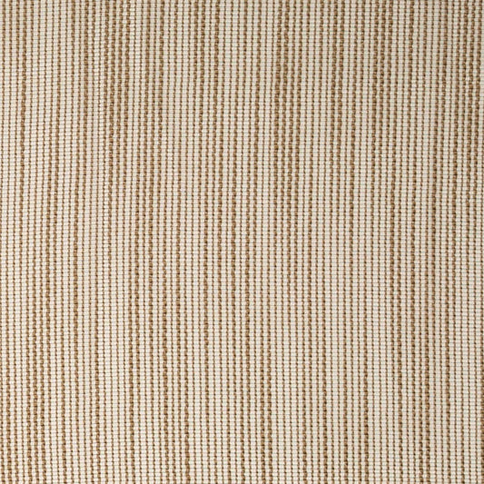 SH182 Plain & Solid Beige & Taupe Charlotte Fabrics Sheer