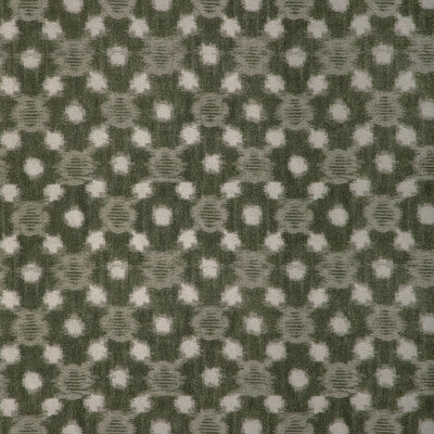 SIRIDAO-30 SIRIDAO MOSS KRAVET COUTURE Fabrics Drapery Upholstery