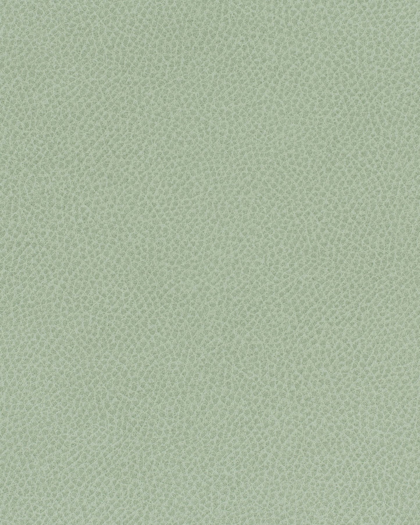 SLQ747 Maxwell FAUX LEATHER # 747 ALOE EASYRIDERVII