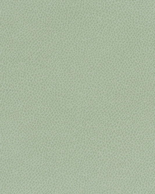 SLQ747 Maxwell FAUX LEATHER # 747 ALOE EASYRIDERVII