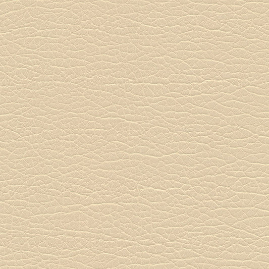 SNC1191 Maxwell FABRIC # 1191 CASHEW MO-COATEDFABRICS