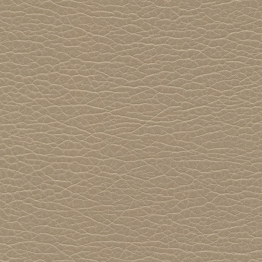 SNC1196 Maxwell FABRIC # 1196 EDO MO-COATEDFABRICS