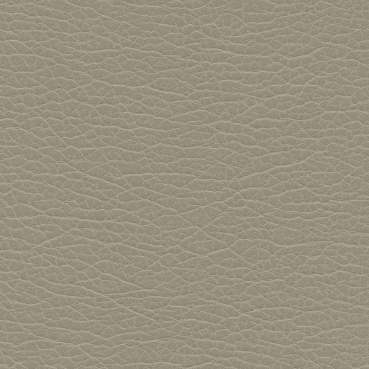 SNC1198 Maxwell FABRIC # 1198 PAVED MO-COATEDFABRICS